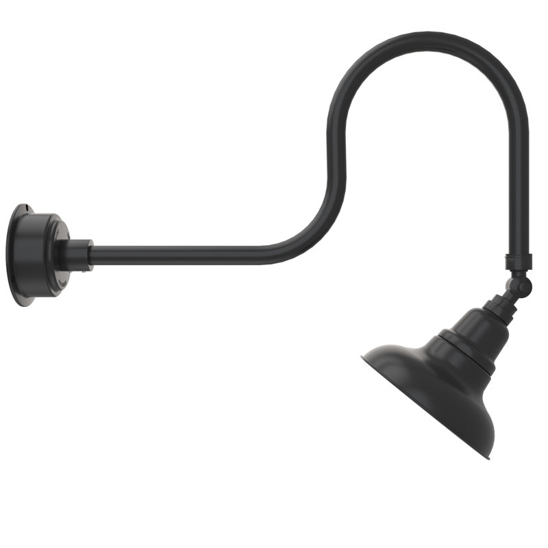 Luminaire de grange d'extérieur à DEL Adesh, Noir mat