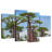 Harnek Baobab Reserve-108824797