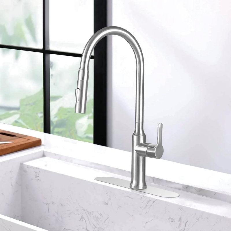 Pull Out Single Handle Kitchen Faucet with Double Function Sprayer Head, With Deck Plate
