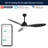 Clarra 52'' Ceiling Fan with LED Lights-1890635367
