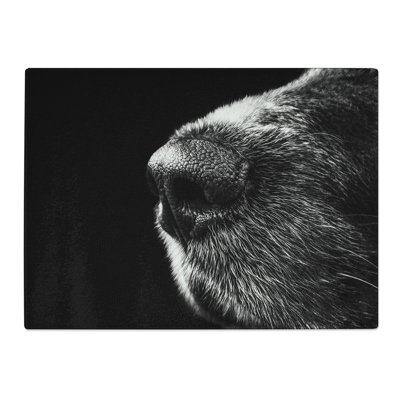 Dog Nose Snout  Glass Chopping Board