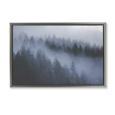  Toile flottante «Fog Fillers Trees Landscape» par Nathan Larson