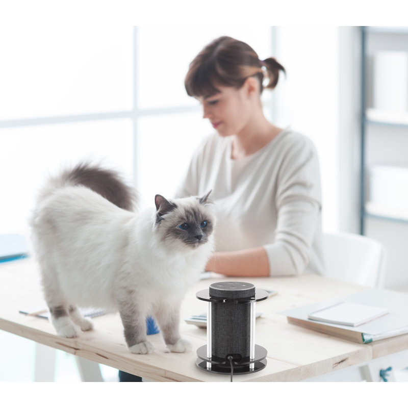 Montez-le! Support de support Premium Echo, compatible avec Amazon Alexa Echo, Amazon Tap et compatible avec UE Boom
