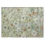 Tapis floral intérieur / extérieur lavable à la machine Chantille ACN2403-704968100