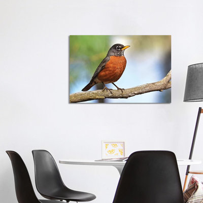 " Robin Redbreast " by Brian Wolf