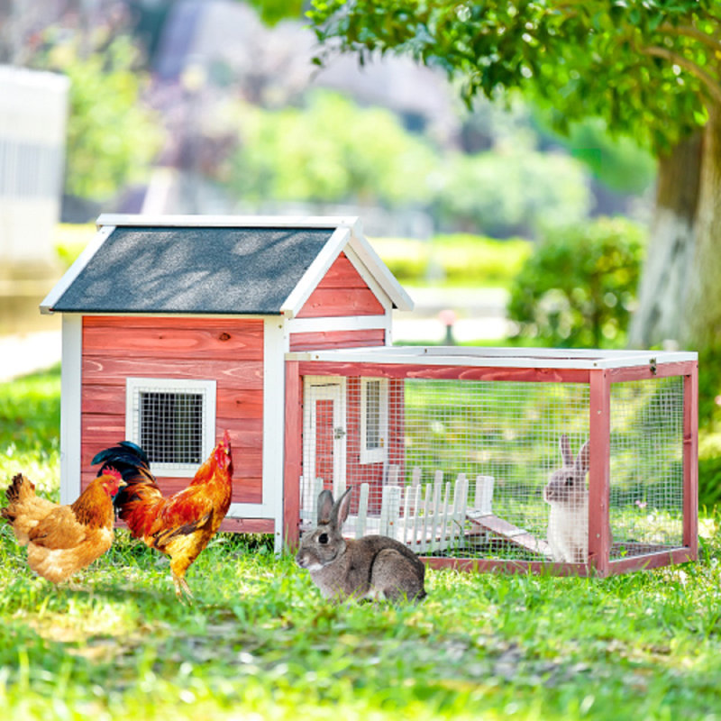 Ansel Weather Resistant Rabbit Hutch