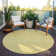 Alta Washable Floral Indoor / Outdoor Rug