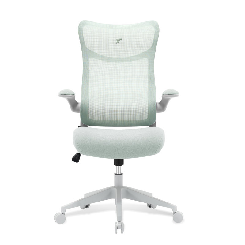 TT AIRFLEX V2 Ergochair - Vert menthe, Menthe verte