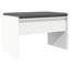 Bench-1740912090-1740912081