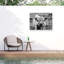 Bologolaise «bolhouse» abstrait II-98081799
