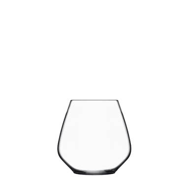 Atelier 21 oz Pinot Noir Red Wine Glasses (Set Of 6)