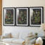 Tableau botanique rétro I - impression encadrée sur mesure de qualité supérieure - 3 pièces-497843003-497842981