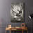 Focused Buck -Gallery Wrapped Cavas-374783477