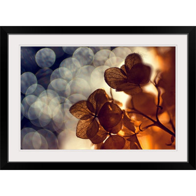 «Straub 'Leaves with Bokeh» par Dimitar Lazarov, reproduction de photo