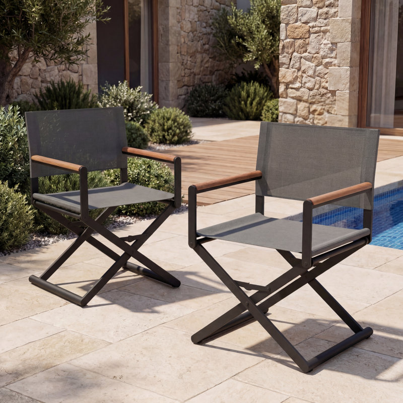 Siepie Folding Director Chair, Black