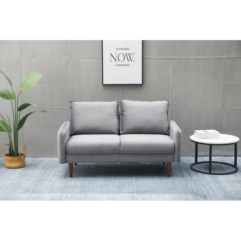 Abdur-Rasheed 58'' Velvet Loveseat, Grey Velvet