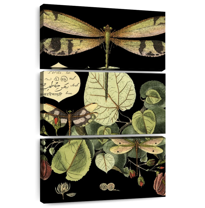 Keiri Whimsical Dragonfly On Black II