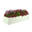Sedum and Orchids Arranged in Fiberstone Planter