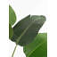 Artificial Christmas Tree-1197267954