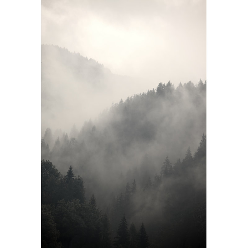 Foggy Forest by Gudella - Wrapped Canvas Print, 46cm H x 30cm W x 3.8cm D