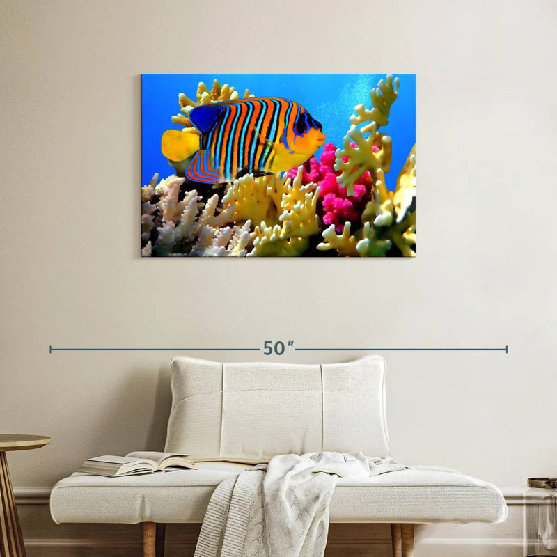 Brampt Queen Angelfish, 24" H x 36" W