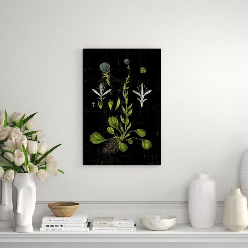 Botanical Study VI Print by Michelle Bennett, Outdoor, 30" H x 20" W