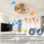 Ventilateur de plafond fermé en rotin 22 po avec télécommande et 6 vitesses réversible, ventilateur de plafond