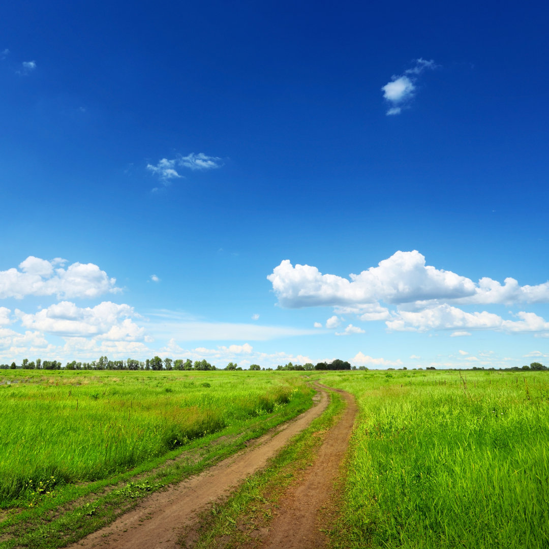 Straße im grünen Feld von Sergeyit - Leinwandbild