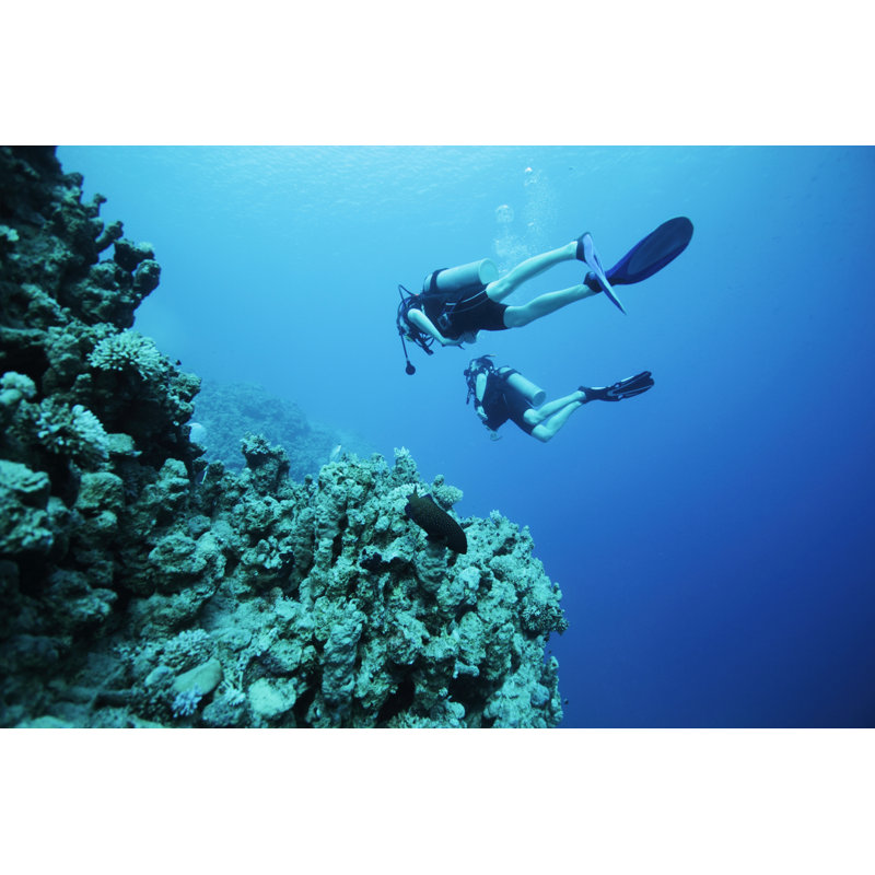 Divers sous l'eau par Deniszbukarev, H 20 po x l 30 po
