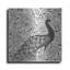 " Peacock Garden IV BW " by Miranda Thomas-1361136980