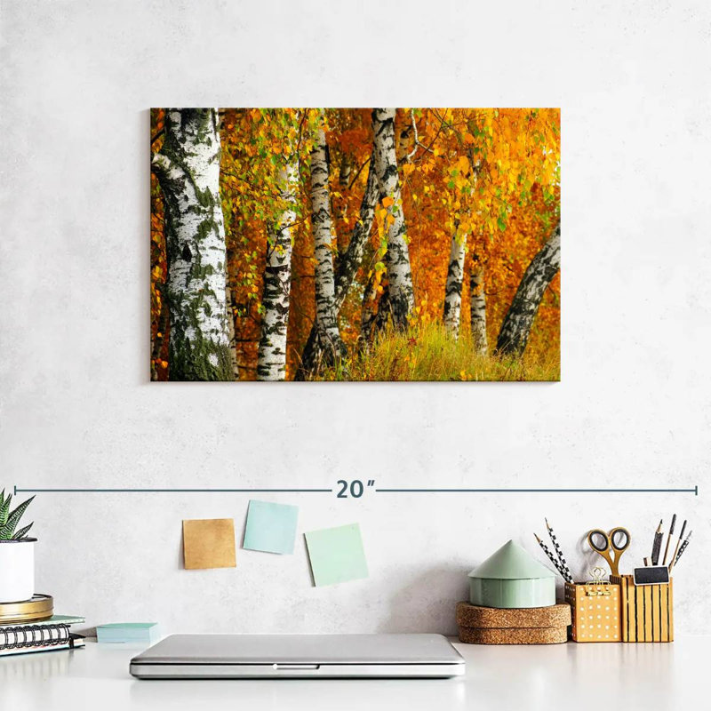 Harnek White Birch Tree Trunk, 8" H x 12" W