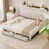 Beige sélectionné