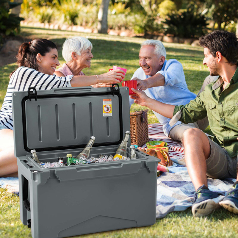 Costway 50 Quarts Ice Chest, Charcoal
