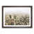 Walnut Framed selected