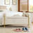 Velvet Storage Bench with Cylindrical Arms and Iron Legs-1943873536