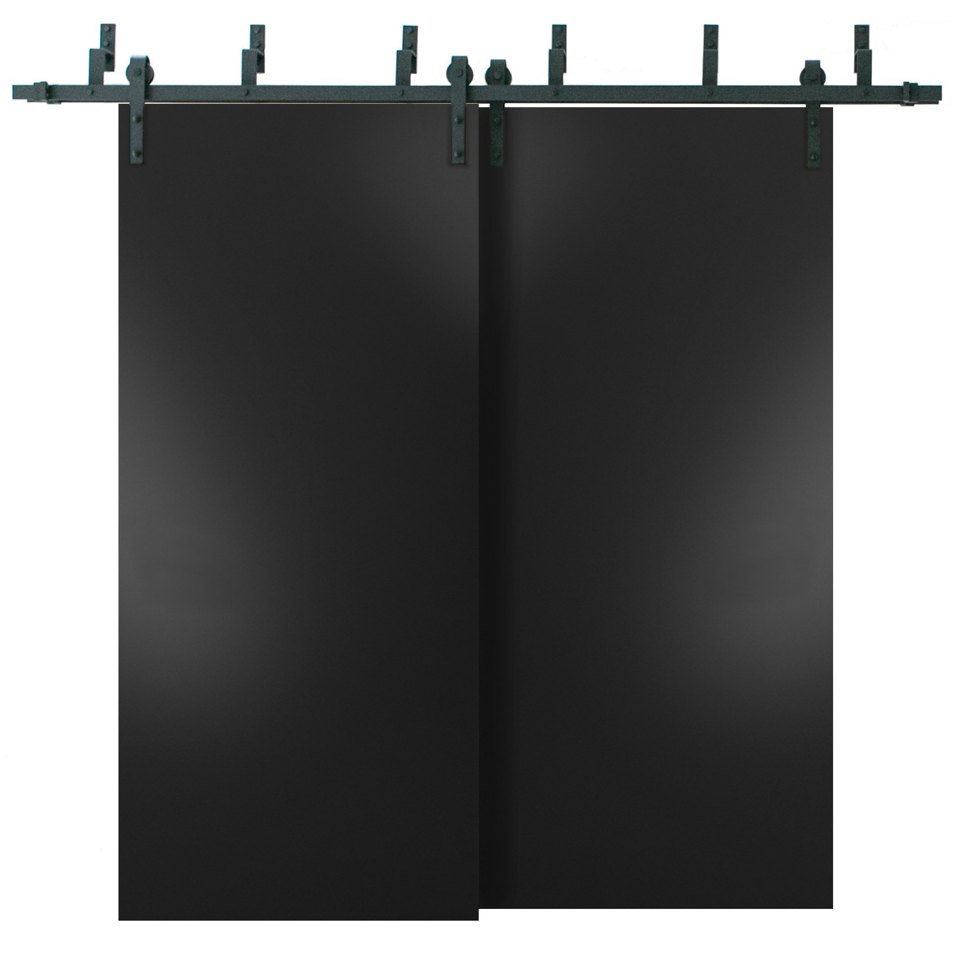 SARTODOORS Planum Flush Wood Sliding Closet Black Doors | Wayfair