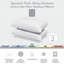 Ensemble antiallergique: couvre-matelas sans allergène, ensemble de 2 coussins Signature Signature -98494709