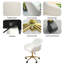 Alajos Office Chair with Headrest