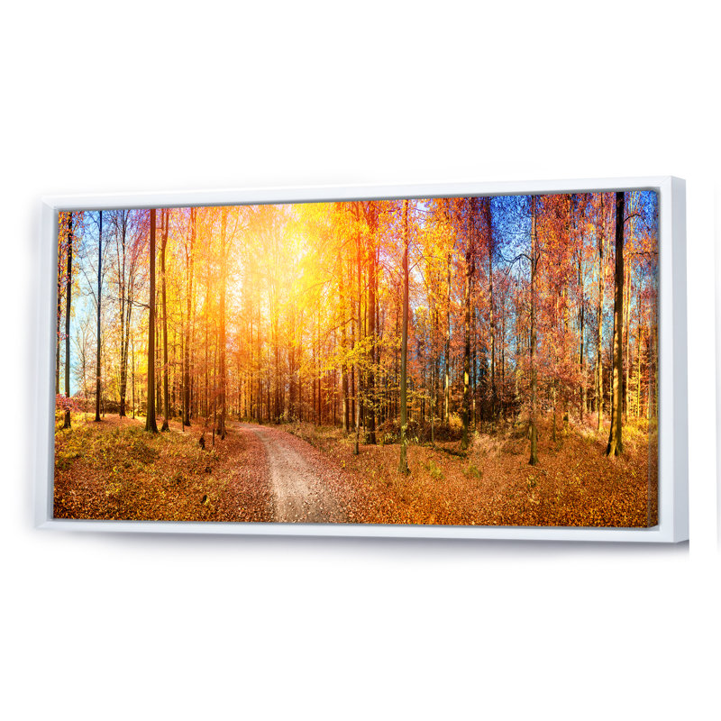 Sunlight in Autumn Forest - Photographie sur toile, H 8 po x l 12 po x P 1 po, Cadre blanc