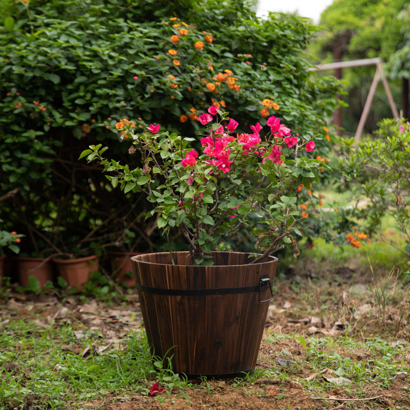 Eugenia Handmade Wood Barrel Planter, 14" H x 18" W x 18" D