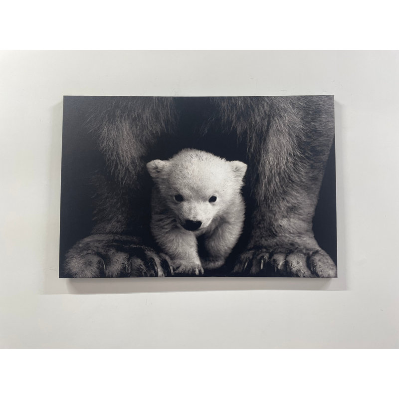 Print on Canvas, 40 cm H x 60 cm W, Wrapped Canvas