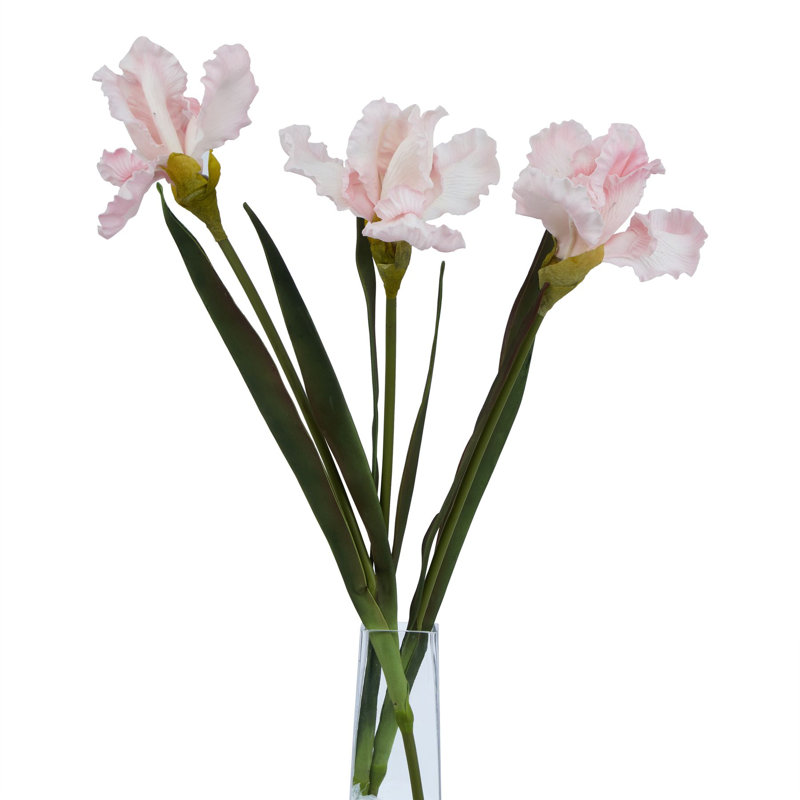 Arrangement, Pink