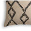Square Pillow Cover & Insert-203037484
