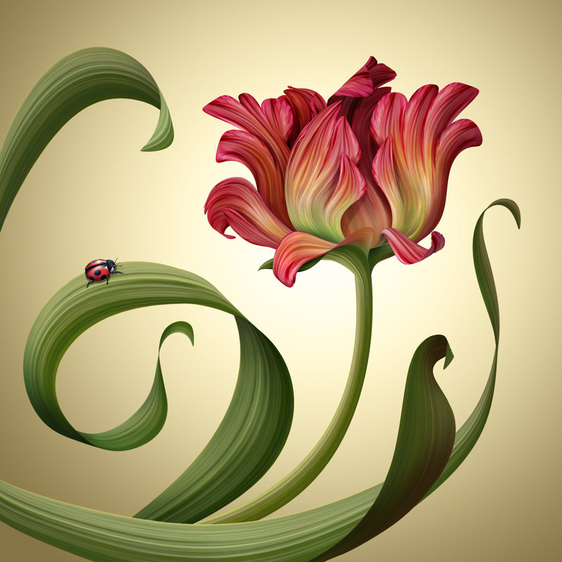 «Red Tulip Flower», impression sur toile tendue, H 12 po x l 12 po