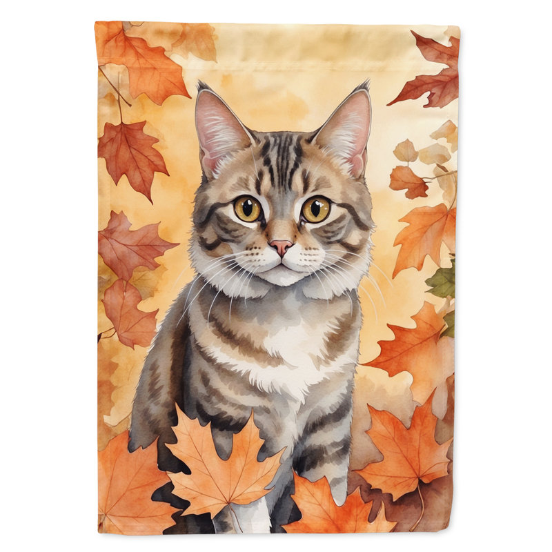Chat en feuilles d'automne, Bobtail américain