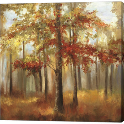" Soft Light "
