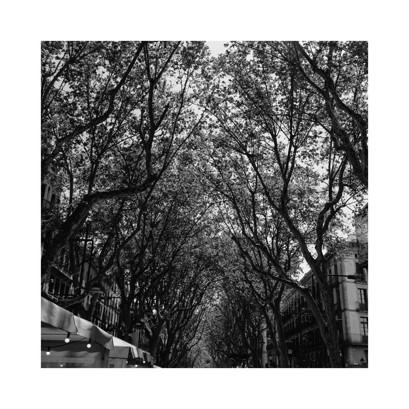 La Rambla by Bethany Young - Print on Canvas, Wrapped Canvas, 93.98cm H x 93.98cm W x 3.81cm D