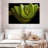 Green Boa Constrictor-107922359