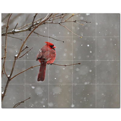 Bird Photo 4.25'' x 4.25'' Satin Ceramic Decorative Mural