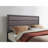 Mirage Grey Queen Bed